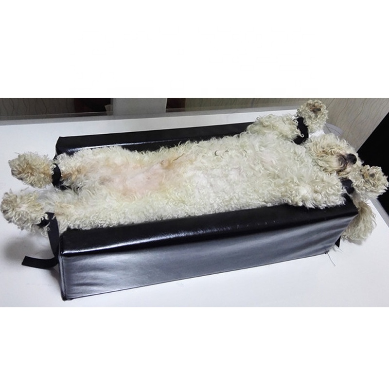OEM Pet Patient Positioning X- - Veterinary X-Ray recension och pris