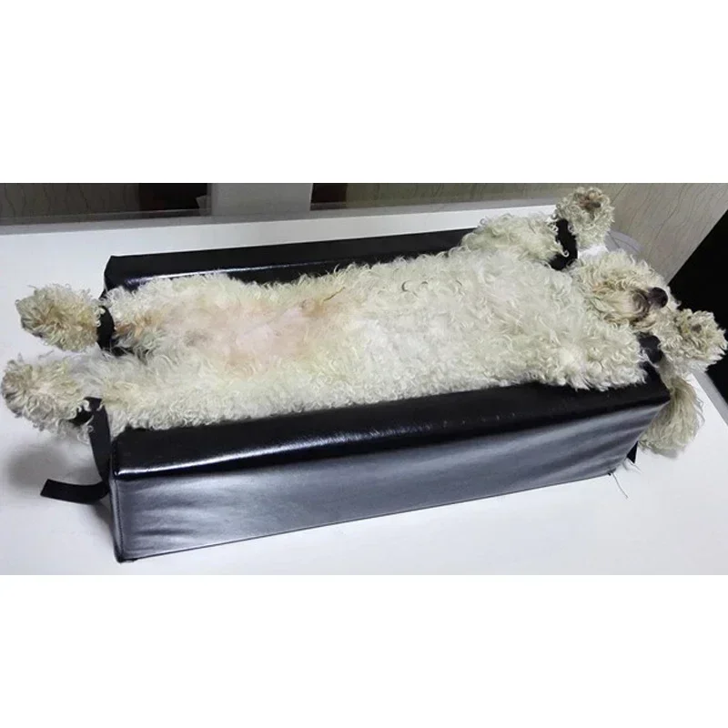 Small size    Animal Xray mach - Veterinary X-Ray recension och pris